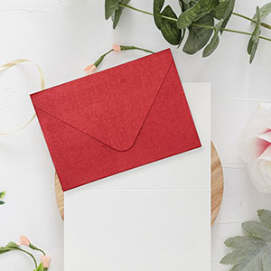 Wedding Envelopes Styles