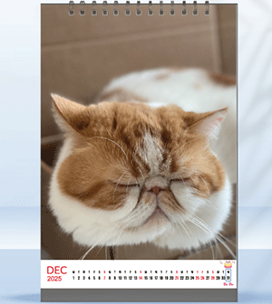 2025 Desk Calendar - Design Template